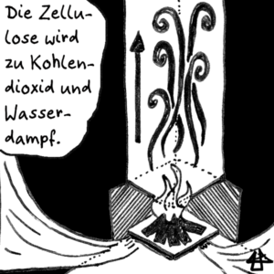 Ausschnitt des Minicomics. Geschrieben steht: Die Zellulose wird zu Kohlendioxid und Wasserdampf. Daneben eine Finelinerzeichnung eines Querschnitts eines Kamins. Sauerstoff strömt zum brennenden Feuer, die Abgase gehen durch den Kaminschacht nach oben.