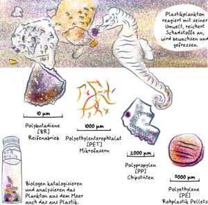 Ausschnitt aus dem Comic Plastikplankton und Link zu Comic mit vollständiger Texttranskription. Im abgebildeten Ausschnitt schnappt ein Seepferdchen nach einem bewachsenen Stück Plastik. Darunter Abbildungen von verschieden Arten Mikroplastik im Meer: Reifenabrieb aus Polybutadiene, BR, 10 Mikrometern groß, einzelne Mikrofasern aus Polyethylenterephtalat, PET, 1000 Mikrometern groß, ein Eckchen einer Chipstüte aus Polypropylen, PP, 2000 Mikrometern groß und ein einzelnes Rohplastik Pellet aus Polyethylene, PE, 5000 Mikrometern groß. Ein Gläschen mit unterschiedlich gefärbten Stücken von Mikroplastik. Daneben der Text: Biologen katalogisieren und analysieren das Plankton aus dem Meer auch das aus Plastik.