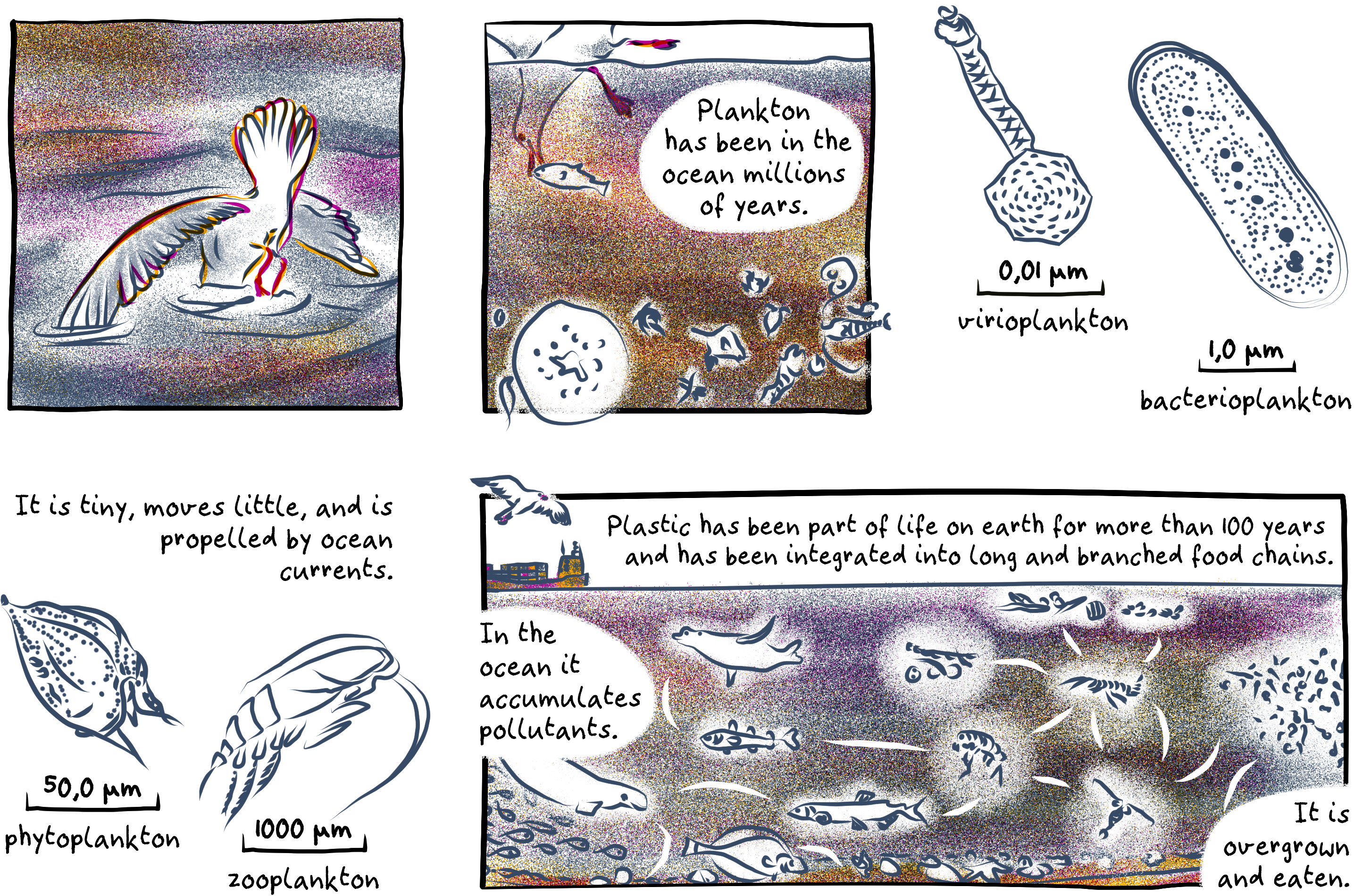 Excerpt from the comic. 
A seagull dives into the ocean to catch a fish. Enlarged the outlines of different kind of plankton are displayed. Plankton has been in the ocean millions of years. It is tiny, moves little, and is propelled by ocean currents.
Virioplankton, a virus with a hexagonal head and a long shaft is shown. A marker indicates a size of 0,01 micrometers.
Bakterioplankton, an elongated bacterium displayed with its cell nucleus and cell details. A marker indicates one micrometer.
Phytoplankton, a roundish plankton body with a sharp tip and two little whips is displayed. A marker indicates 50 micrometers.
Zooplankton, a little crab with long tentacles is displayed. A marker indicates 50 micrometers.
In a vertical cross section through the ocean different animals and marine life forms are connected to a food chain network. At the ocean surface a ship with huge containers passes by and above the seagull.
Plastic has been part of life on earth for more than 100 years and has been integrated into long and branched food chains. In the ocean it accumulates pollutants. It is overgrown and eaten.