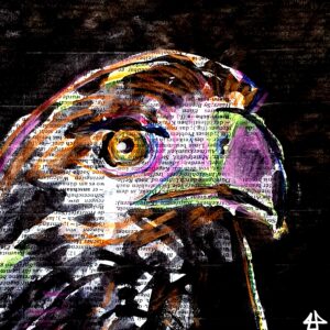 Tinte und Buntstifte auf Wörterbuchseite, der Kopf eines Adlers, sehr bunt mit neongelben, orangen umd pinken Strichen vor schwarzem Hintergrund.