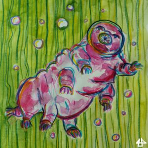 Aquarellierte Buntstiftzeichnung eines Wasserbären (Tardigrade) in pink mit angedeuteten Augen vor hellgrünem Hintergrund mit schwebenden Bläschen. Vier seiner Tatzen treten Wasser nach vorn  und die anderen vier nach unten.