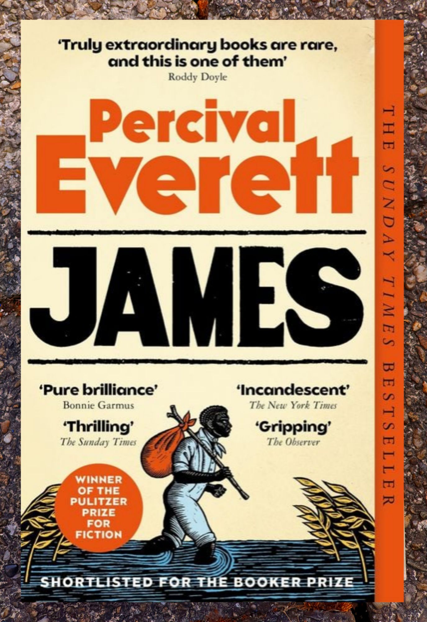 Buchdeckel der englischen Taschenbuchausgabe: James von Percival Everett, Winner of the Pulitzer Prize for Fiction, shortlisted for the Booker Prize, The Sunday Times Bestseller.
Eine Schwarze Person mit Kleiderbündel am Stock watet durchs Wasser. Zusätzlich noch begeisterte Zitate von Zeitungen.